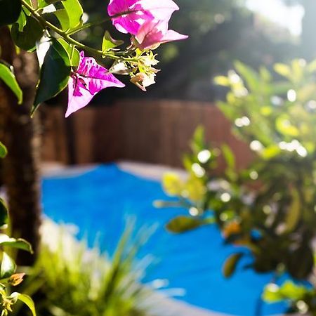 Villa Fiore Торболе Экстерьер фото